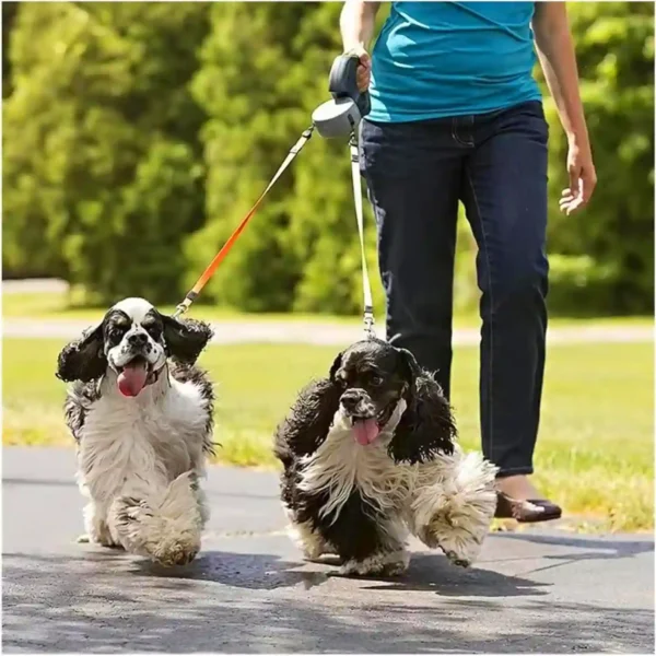 dual dog pet leash