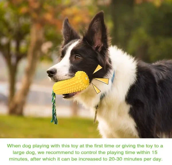 Puppy Teeth Chew Corn Stick