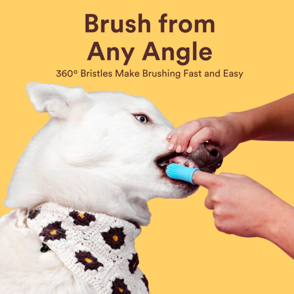 dog toothbrush