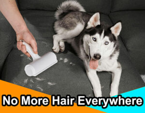 pet hair removal from car