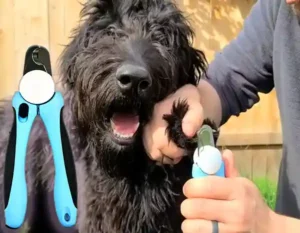 Pets Nail Clippers