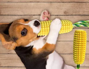 Puppy Teeth Chew Corn Stick